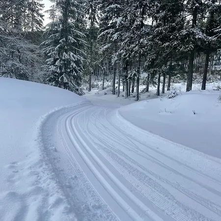 With A View Of The Slope *